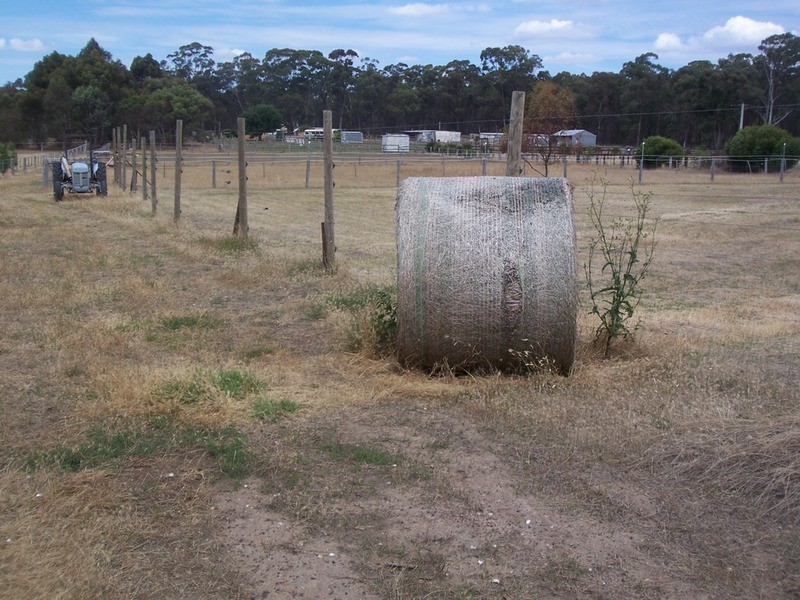 66 Racecourse Road, Epsom VIC 3551