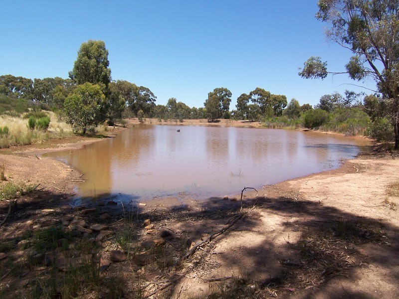 123 Wychitella Road, Wedderburn VIC 3518