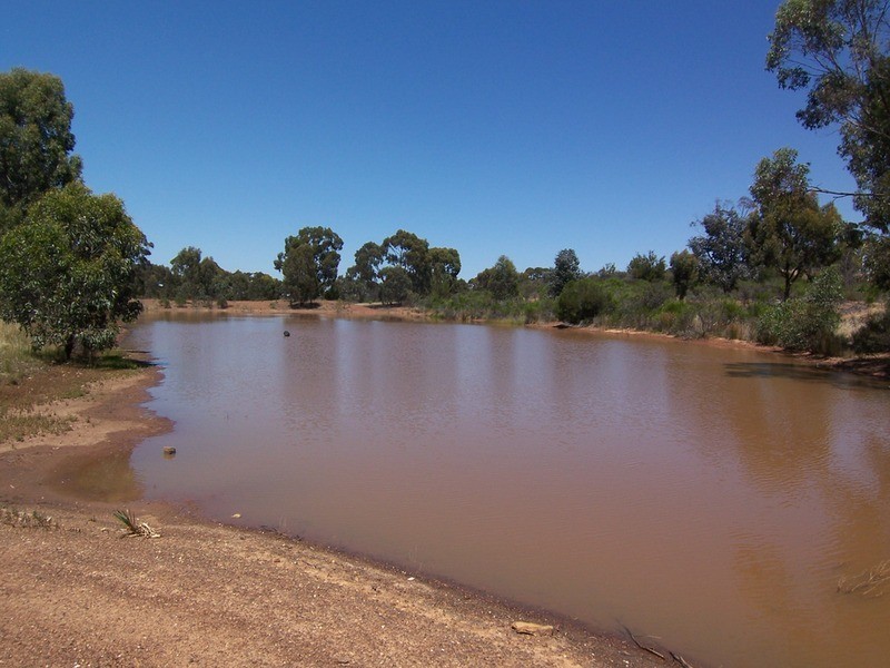 123 Wychitella Road, Wedderburn VIC 3518