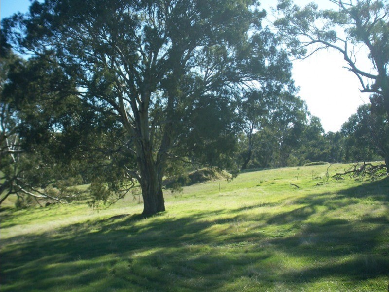 Lot 4 Calder Highway, Ravenswood VIC 3453