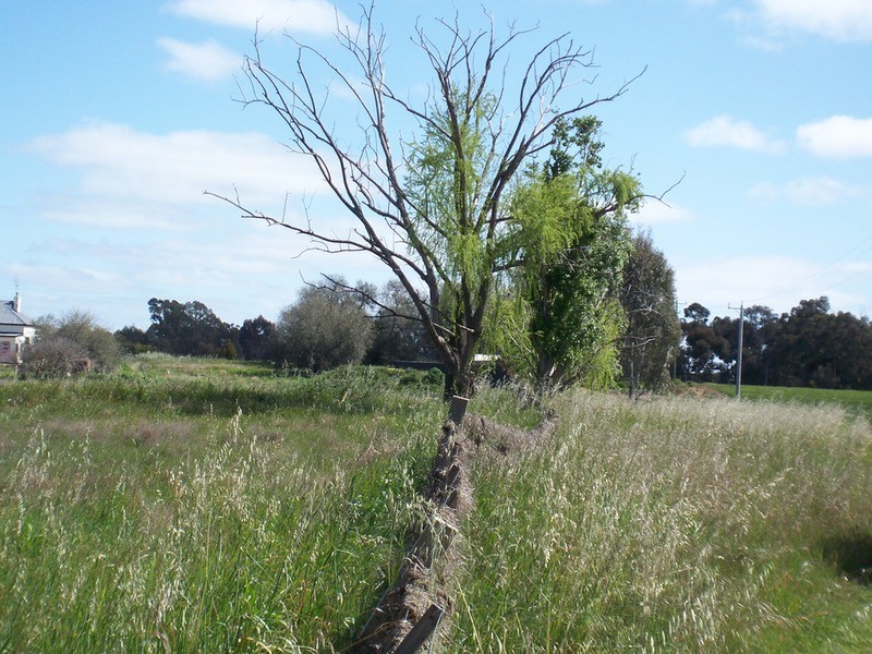 112 Campaspe Street, Elmore VIC 3558