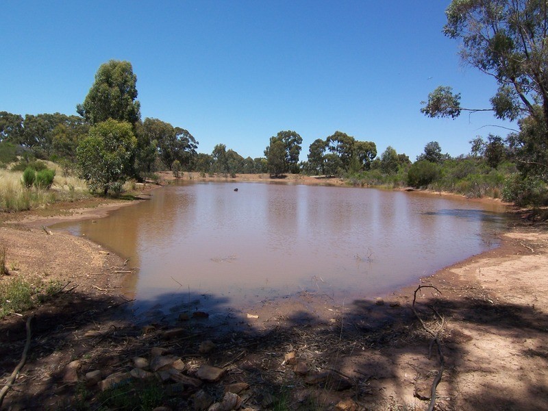 123 Wychitella Road, Wedderburn VIC 3518