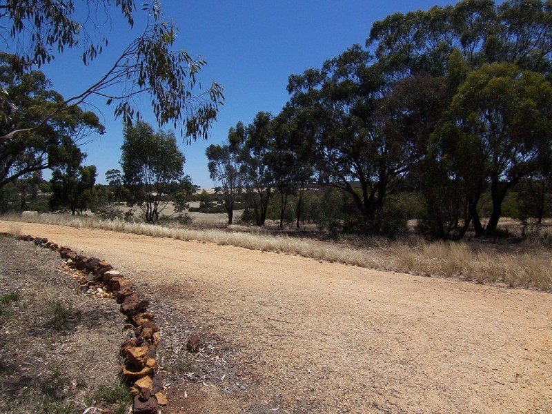 123 Wychitella Road, Wedderburn VIC 3518