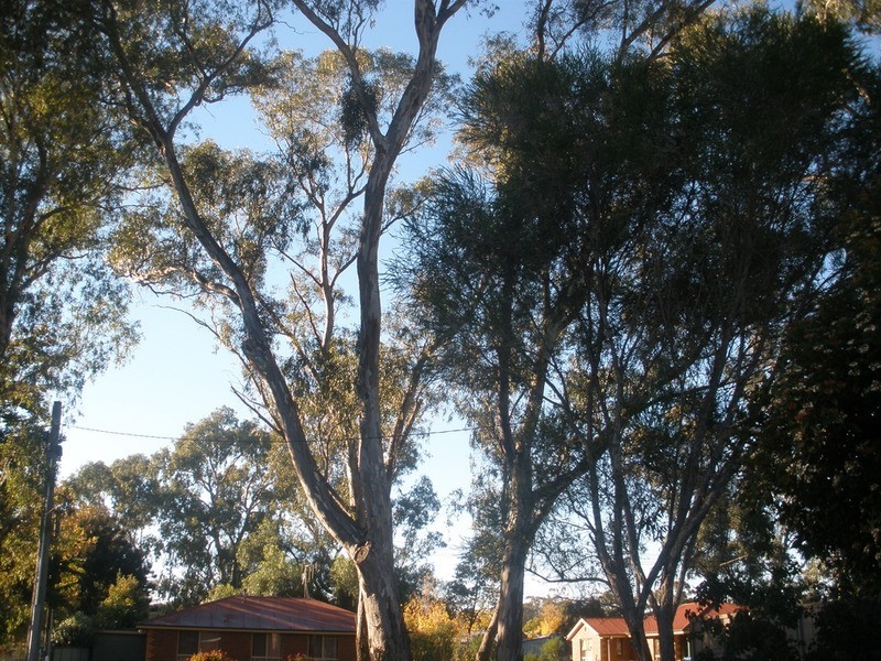 48 Crusoe Road, Kangaroo Flat VIC 3555