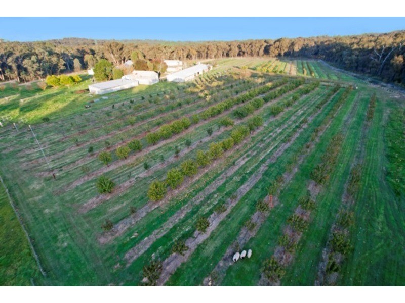 Lot 1/11 Irwin  Lane, Bendigo VIC 3550