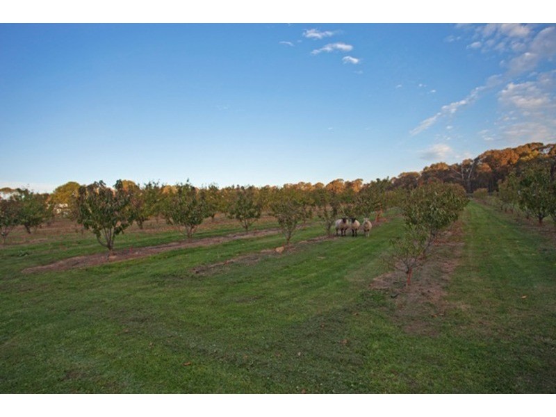 Lot 1/11 Irwin  Lane, Bendigo VIC 3550