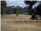 5 Airey  Street, Huntly VIC 3551