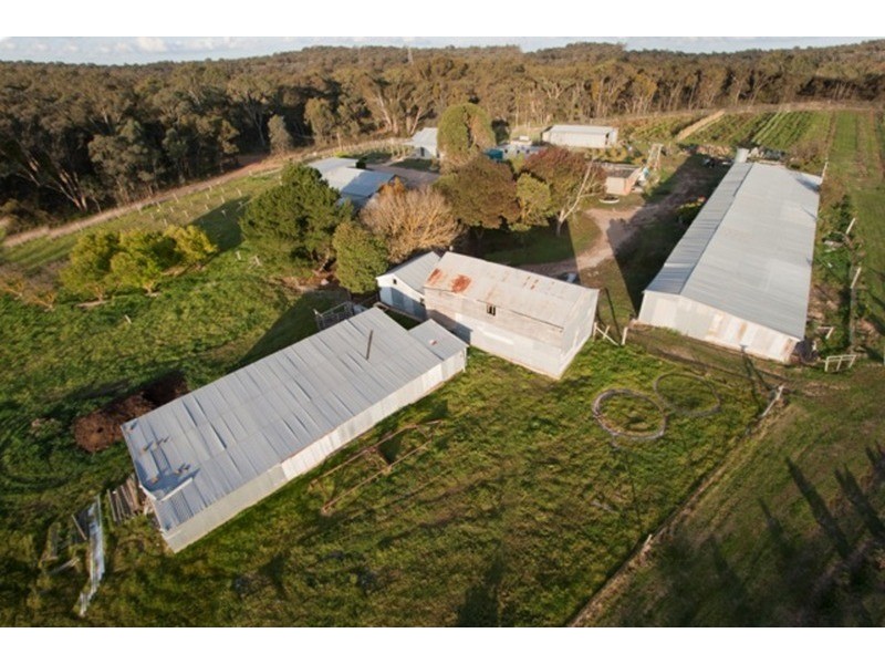 Lot 1/11 Irwin Lane, Bendigo VIC 3550