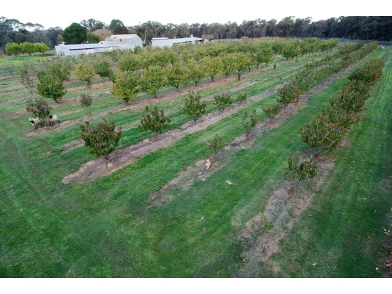 Lot 1/11 Irwin Lane, Bendigo VIC 3550