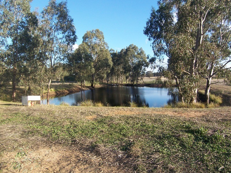 33 Clifton  Road, Wellsford VIC 3551