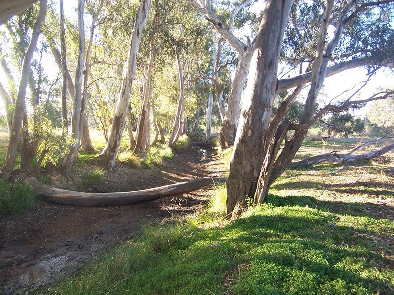 33 Clifton  Road, Wellsford VIC 3551