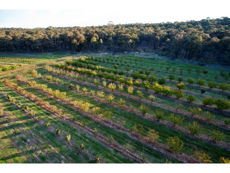 Lot 1/11 Irwin  Lane, Bendigo VIC 3550