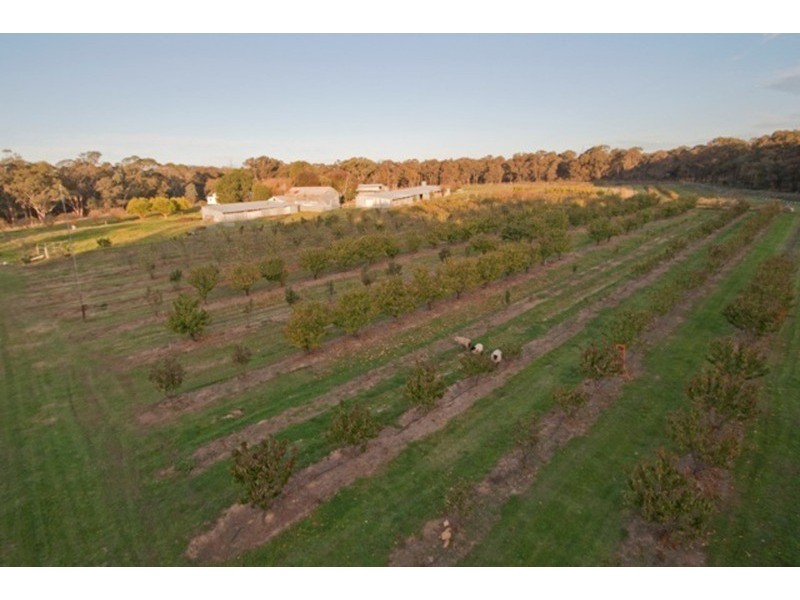 Lot 1/11 Irwin  Lane, Bendigo VIC 3550