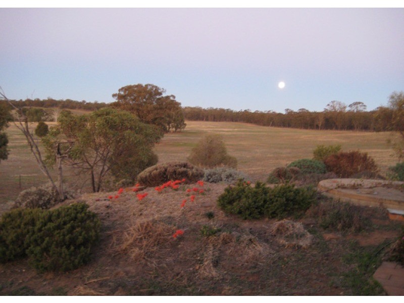 708 Lakeys Road, Shelbourne VIC 3463