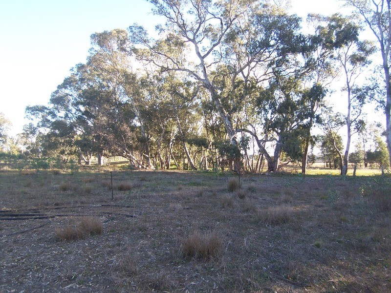 33 Clifton Road, Wellsford VIC 3551