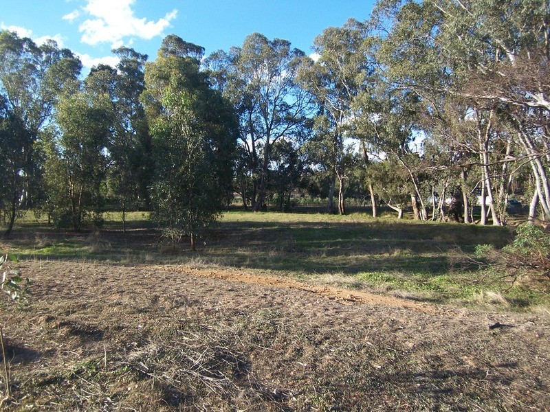 33 Clifton Road, Wellsford VIC 3551