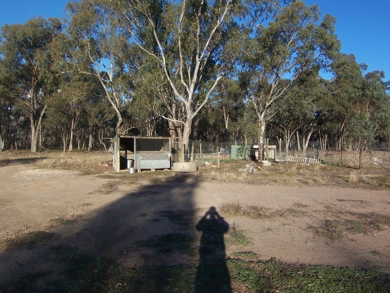 33 Clifton Road, Wellsford VIC 3551