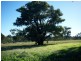 Lot 4 Calder Highway, Ravenswood VIC 3453