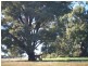 Lot 4 Calder Highway, Ravenswood VIC 3453