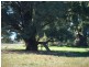 Lot 4 Calder Highway, Ravenswood VIC 3453