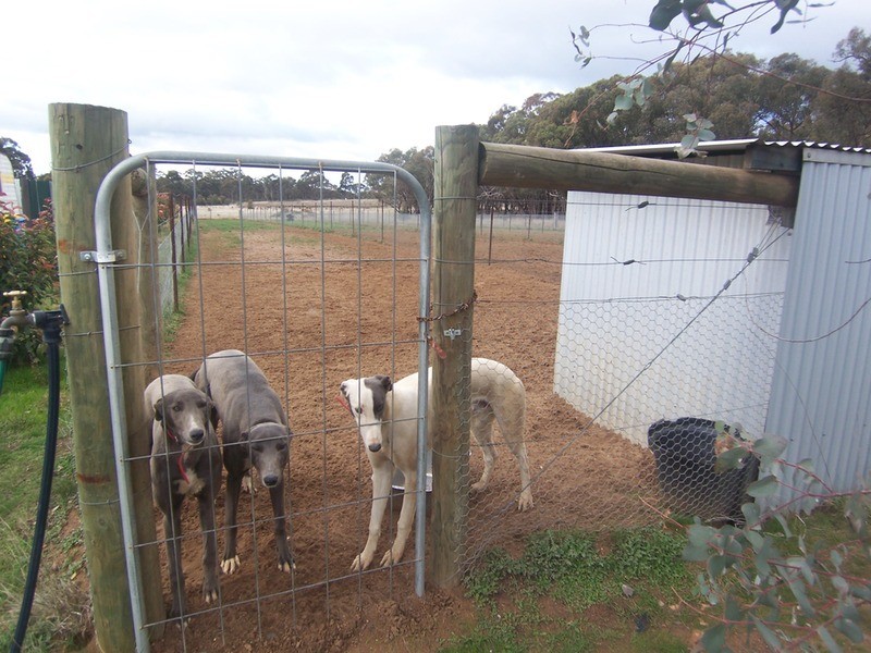 973 Foggartys Gap Road, Walmer VIC 3463