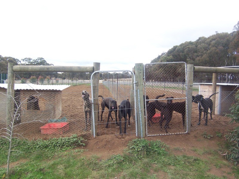 973 Foggartys Gap Road, Walmer VIC 3463