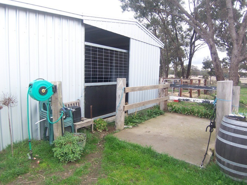 973 Foggartys Gap Road, Walmer VIC 3463