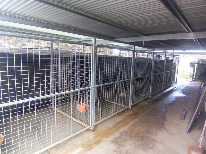 973 Foggartys Gap Road, Walmer VIC 3463