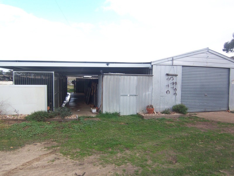 973 Foggartys Gap Road, Walmer VIC 3463