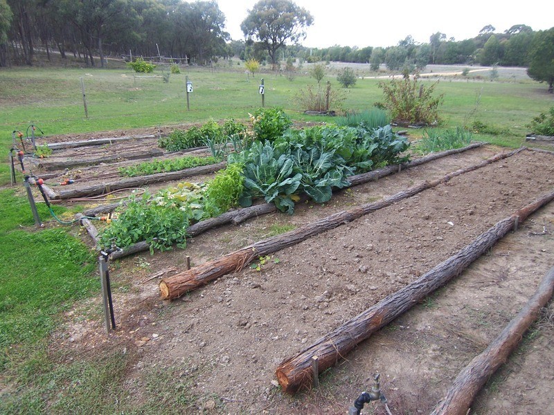 51 Reyn Road, Myrtle Creek VIC 3444