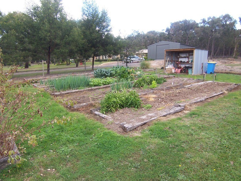 51 Reyn Road, Myrtle Creek VIC 3444