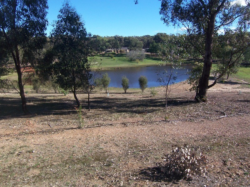 51 Reyn  Road, Sedgwick VIC 3551