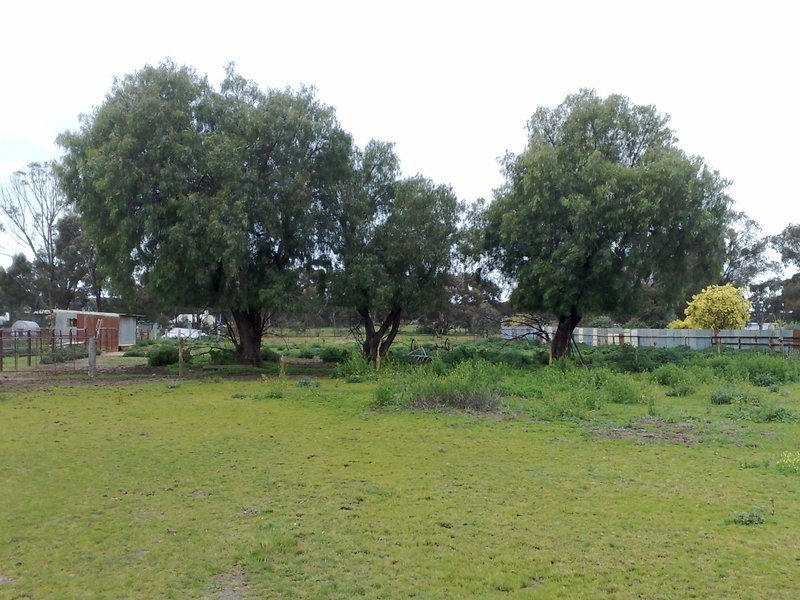 5 Sullivan Street, Inglewood VIC 3517