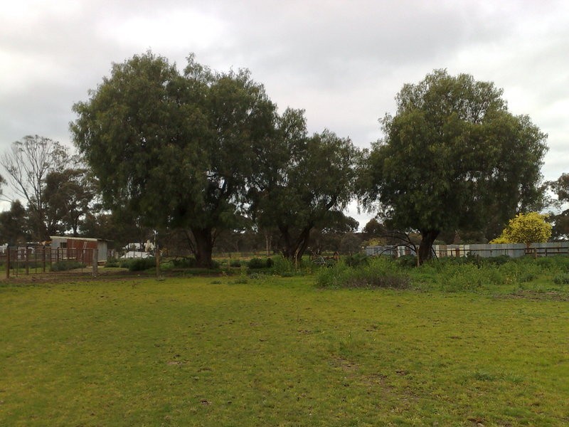 5 Sullivan Street, Inglewood VIC 3517