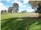 3366 Pyramid-Yarraberb Road, Raywood VIC 3570