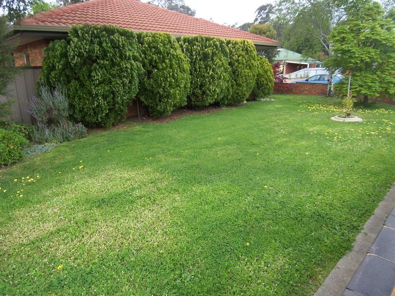 16 Hollywood  Court, Strathdale VIC 3550