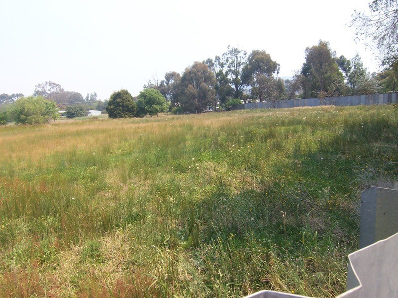 31 Lowther Street, Maldon VIC 3463