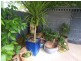 46 Somerville Street, Flora Hill VIC 3550