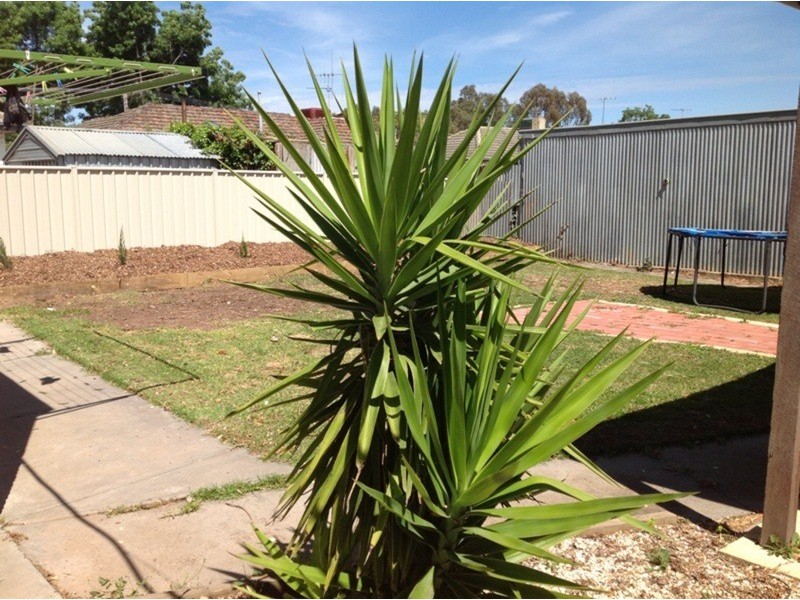7 Morshead Court, White Hills VIC 3550