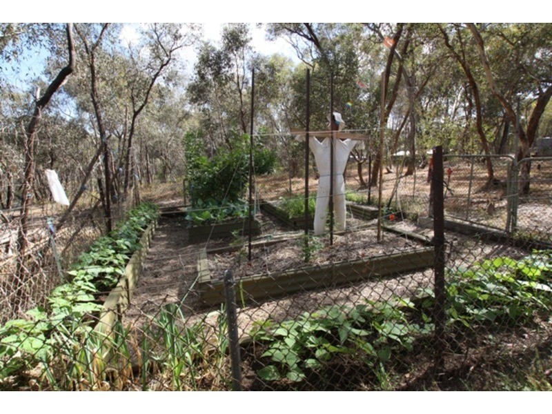 298 Bennetts Road, Junortoun VIC 3551