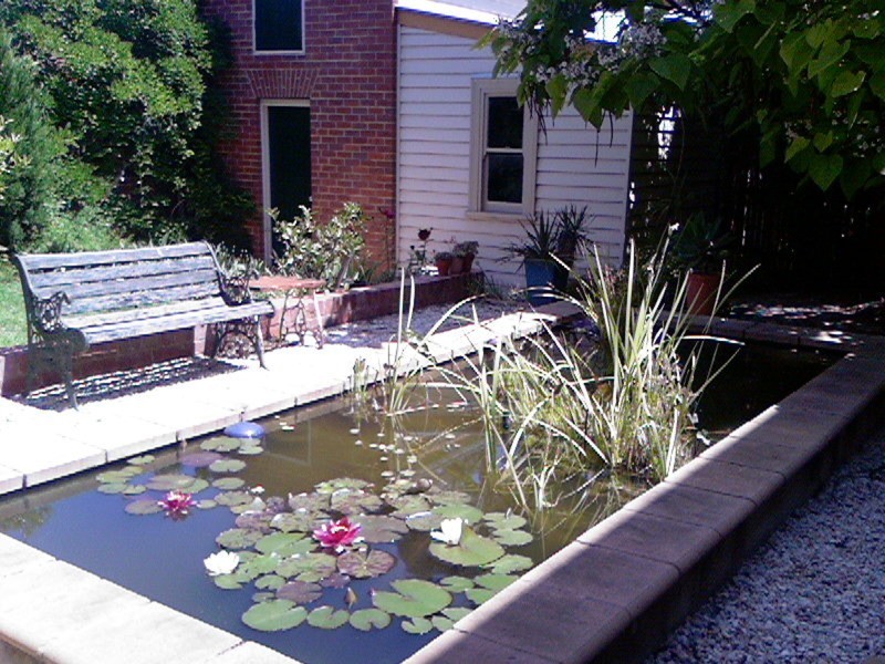 238 View  Street, Bendigo VIC 3550