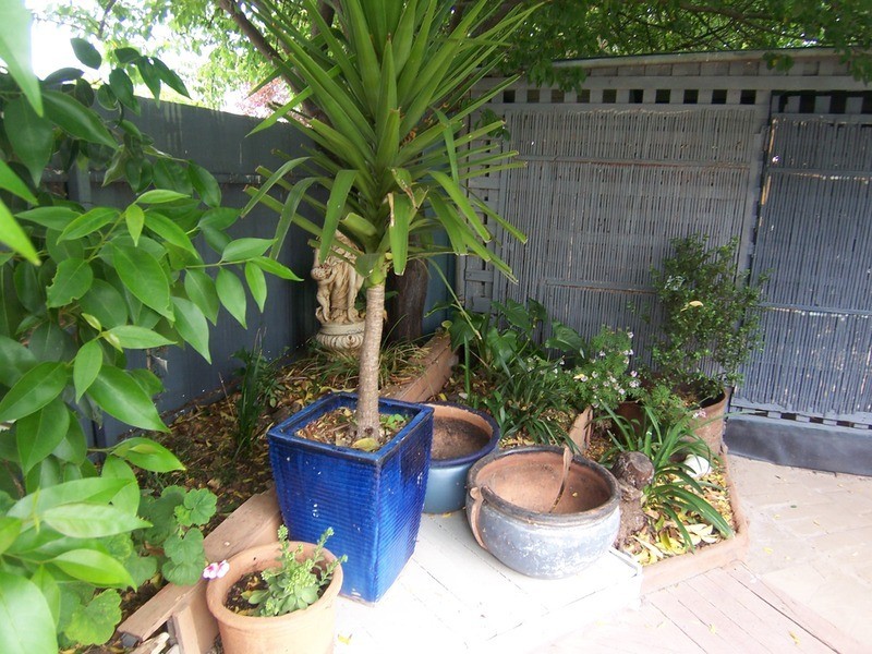 46 Somerville Street, Flora Hill VIC 3550