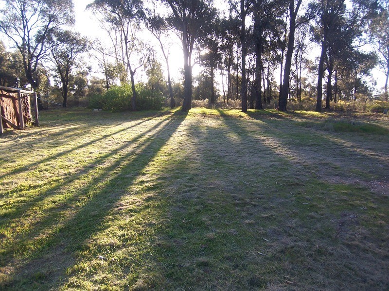 26 Cowper Street, North Bendigo VIC 3550