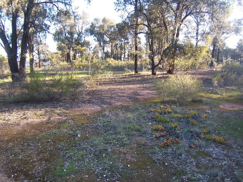 26 Cowper Street, North Bendigo VIC 3550