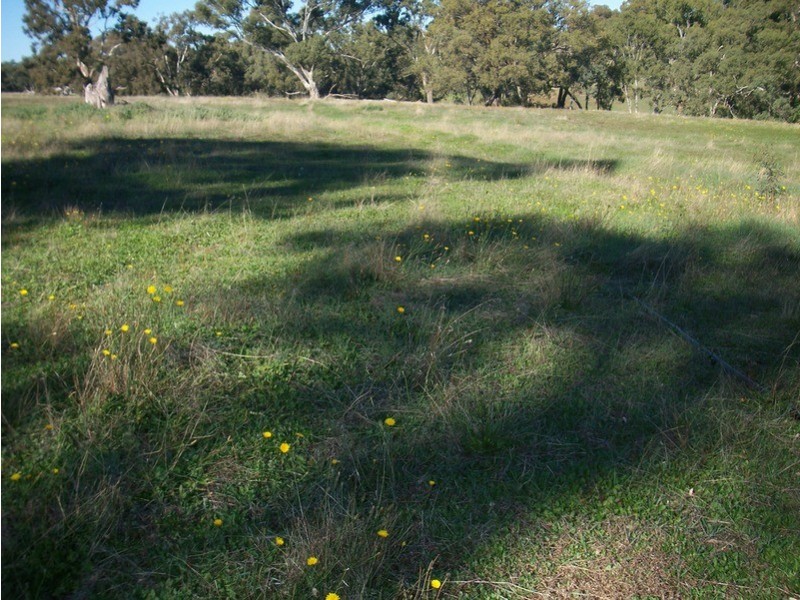 Lot 4 Calder Highway, Ravenswood VIC 3453