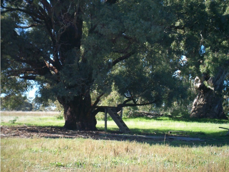 Lot 4 Calder Highway, Ravenswood VIC 3453