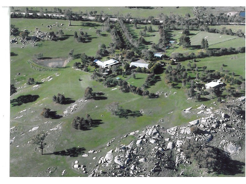 91 Moffatt Drive, Harcourt North VIC 3453