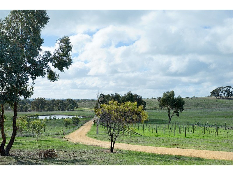 708 Lakeys Road, Shelbourne VIC 3463