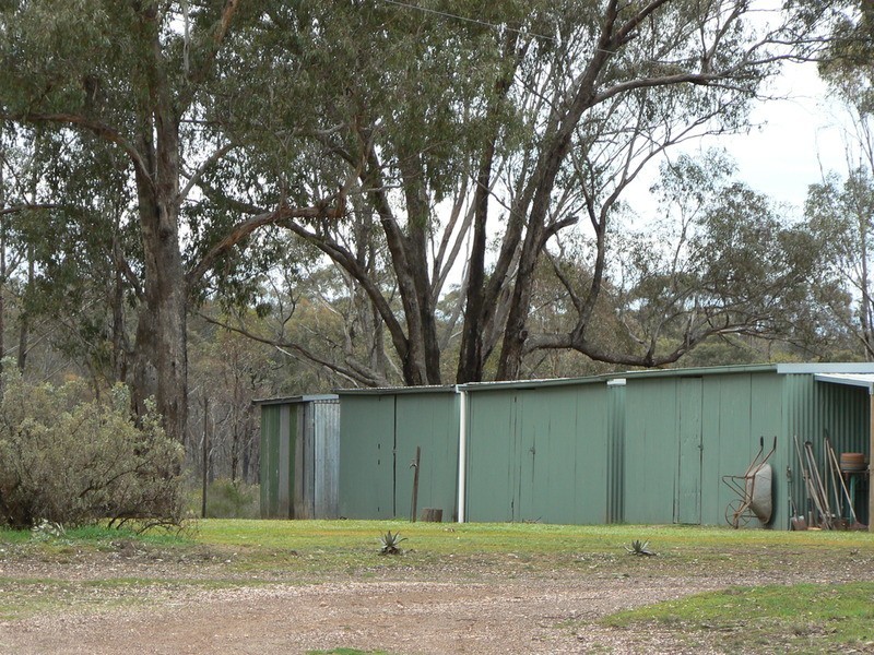 1359 Bendigo-Maryborough  Road, Shelbourne VIC 3463