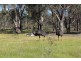 1359 Bendigo-Maryborough  Road, Shelbourne VIC 3463